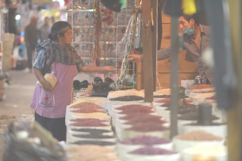 coneval pobreza covid-19