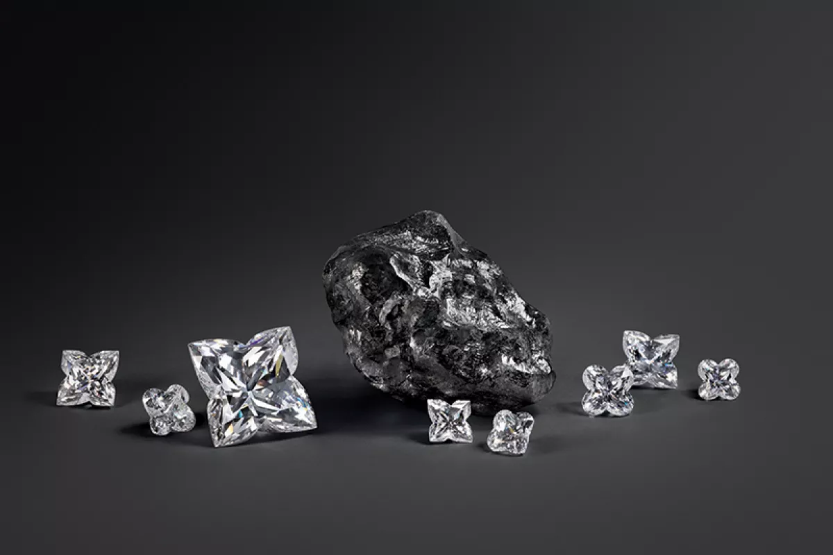 louis-vuitton-diamante-sewelo-2