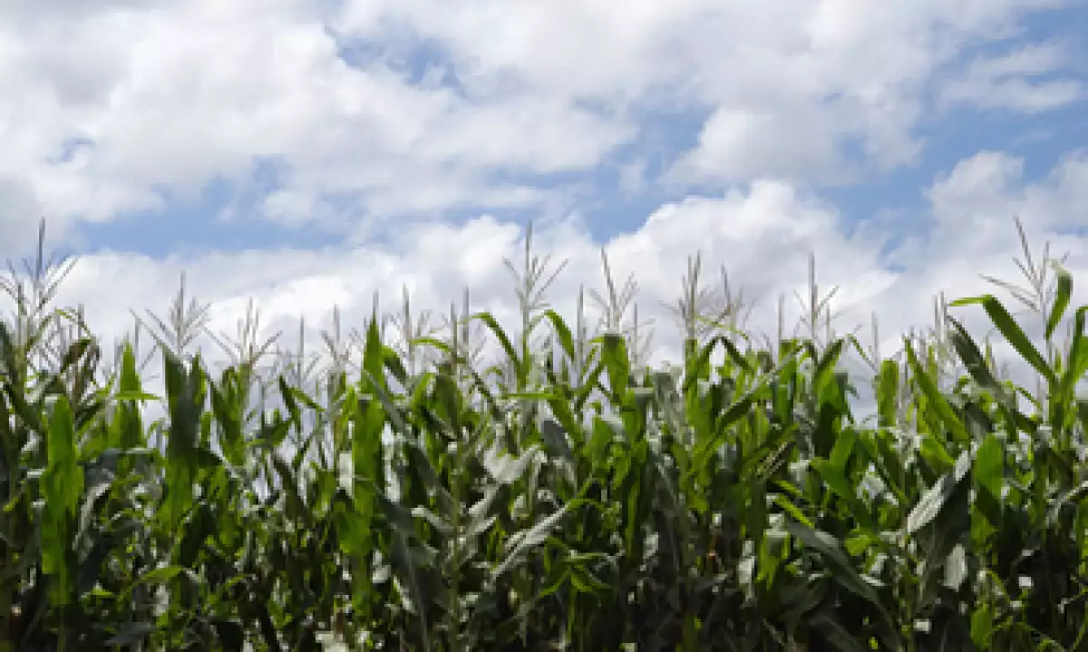 La reforma busca provocar un cambio de un enfoque asistencialista a una visión moderna del campo, aseguró el presidente. (Foto: Getty Images)