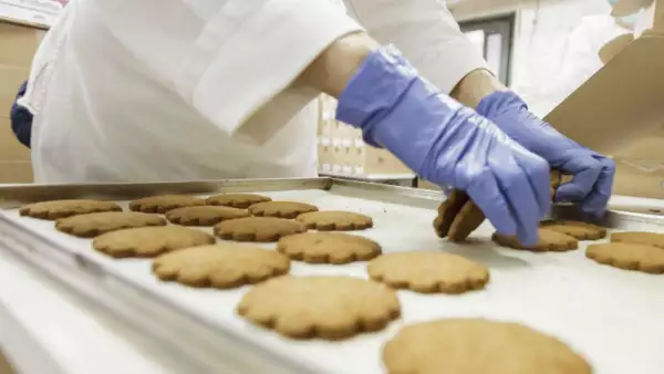 fábrica de galletas