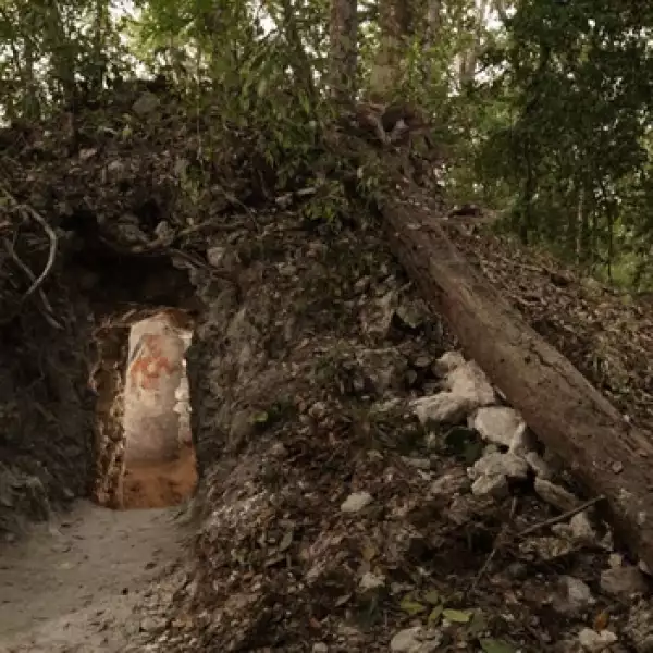 entrada al habitaculo donde esta el calendario maya mas antiguo