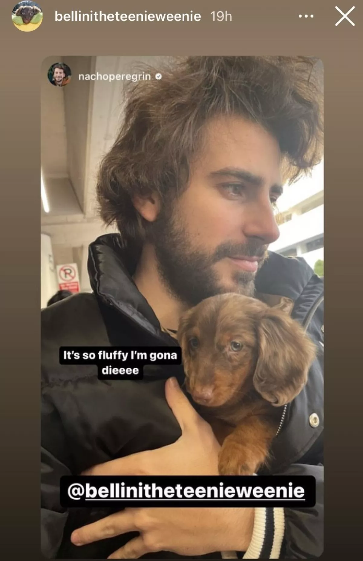 nacho-peregrin