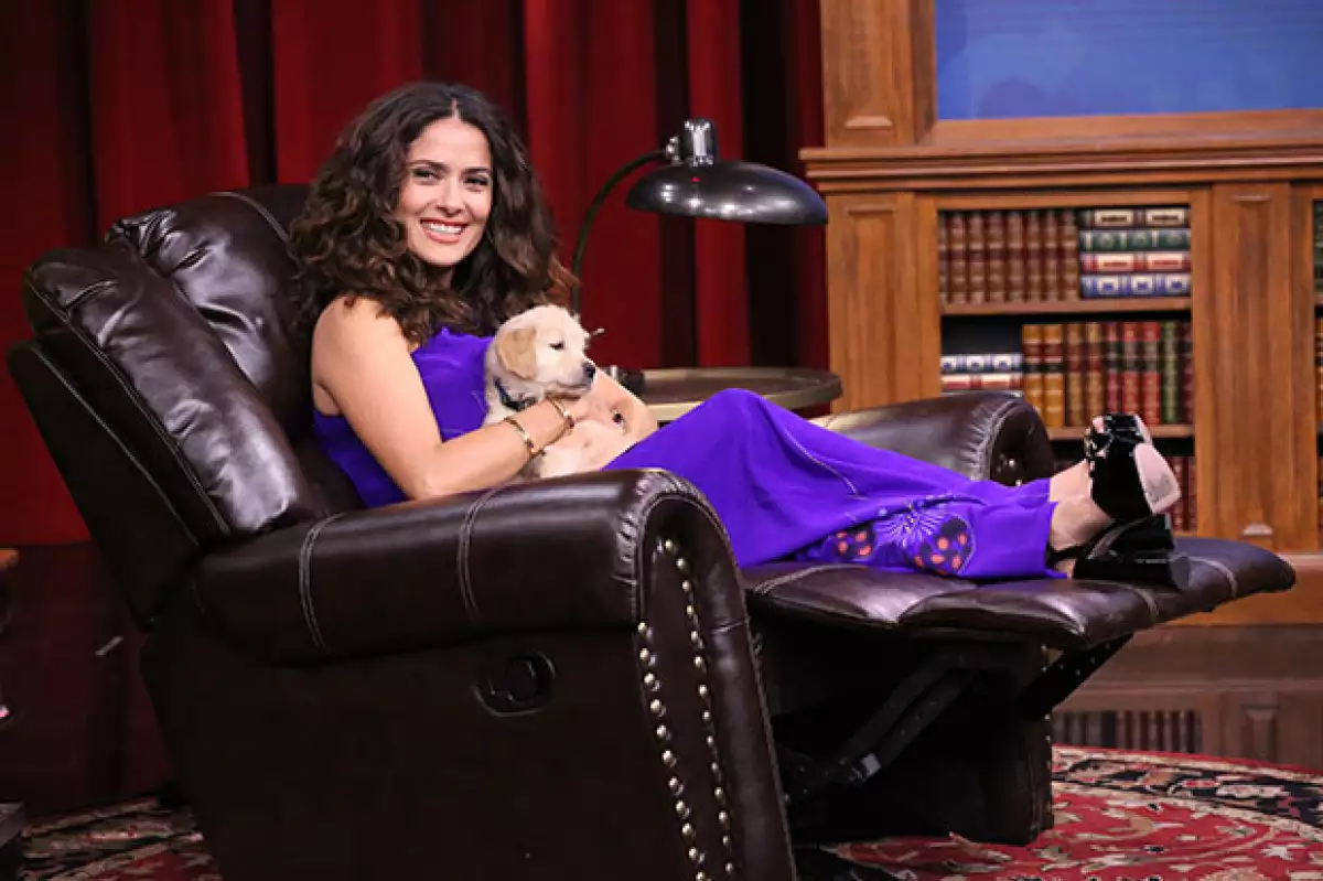 Salma resultó vencedora en Pup Quiz y fue agasajada con muchos cachorritos.