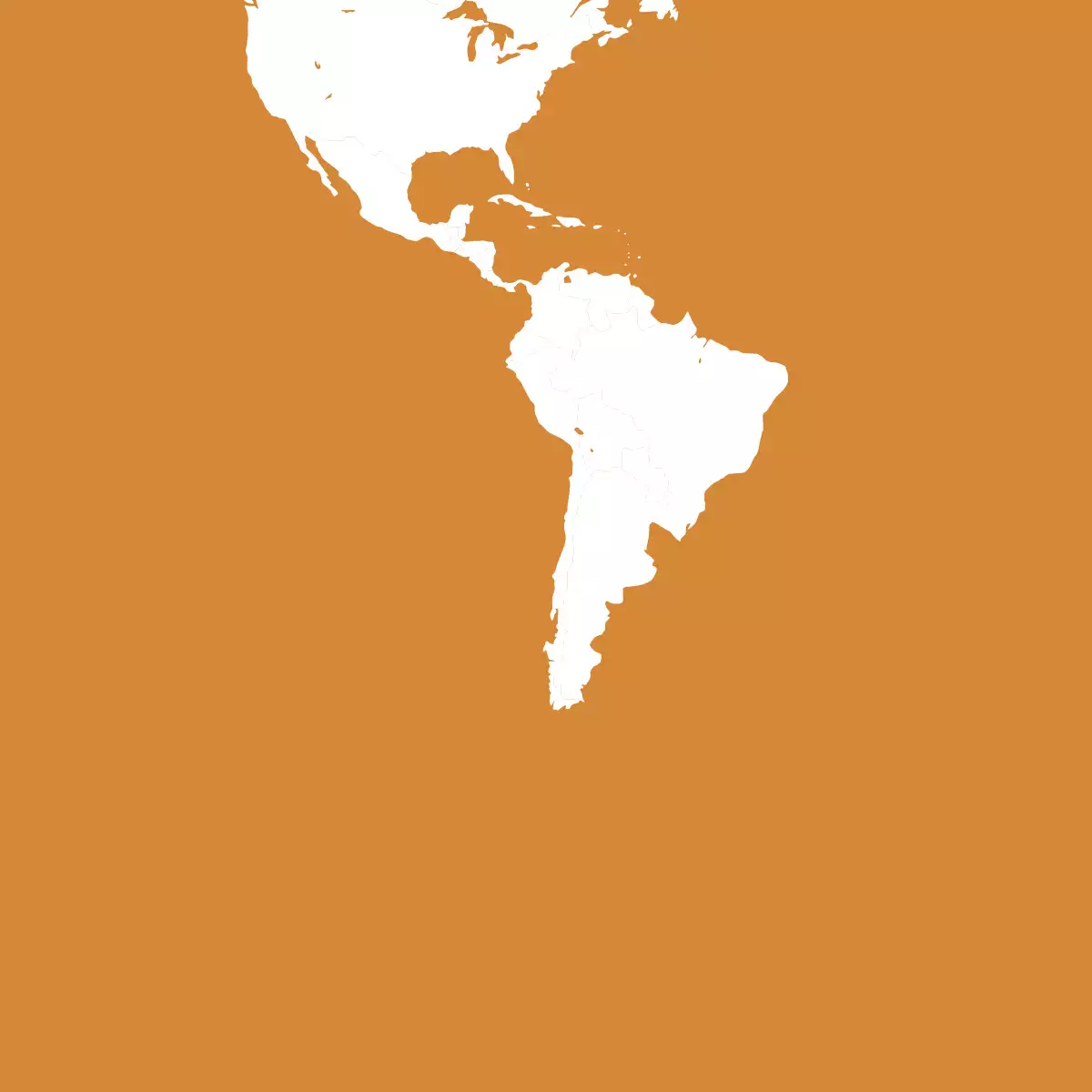 Tras el anuncio de la CIDH de la suspensión de misiones en la región, alrededor de 300 ONGs solicitaron a la OEA resolver la crisis financiera.