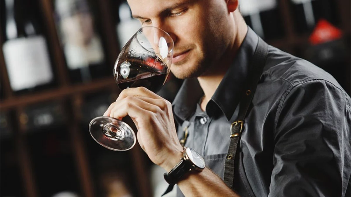 Cata de vino