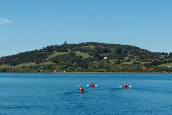 Kayak
