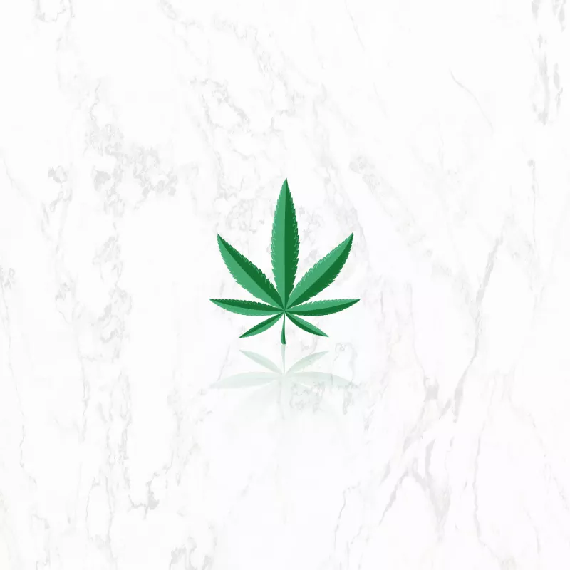 Legisladores del PRI y PVEM bloquean discusión de aumentar gramaje de marihuana, conoce cuáles otras iniciatias lo proponen. 