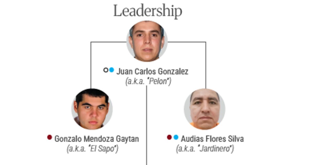 UE y México sancionan a 63 aliados financieros del CJNG