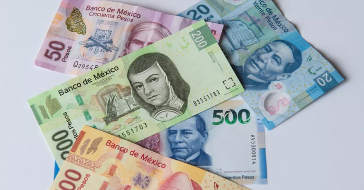 Estos son los billetes que salen de circulación en 2024