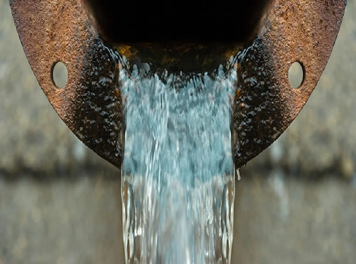 Fibra E agua