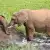 Una mamá elefante ayudando a su hijo elefante a subir una pequeña pendiente.
