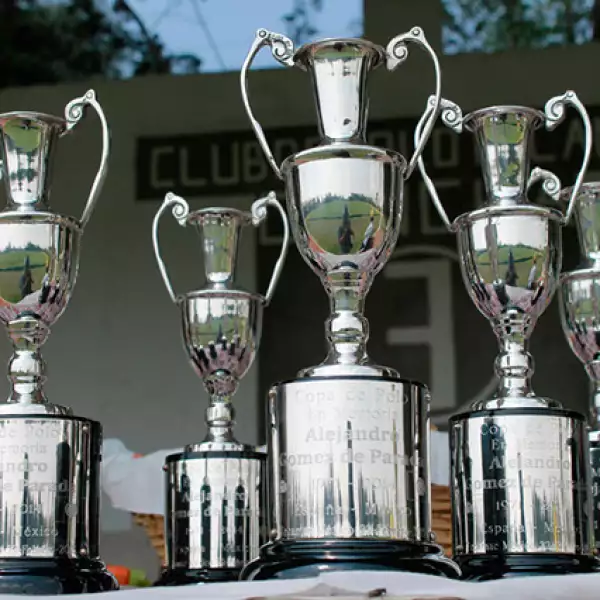Juego de Polo México - España
