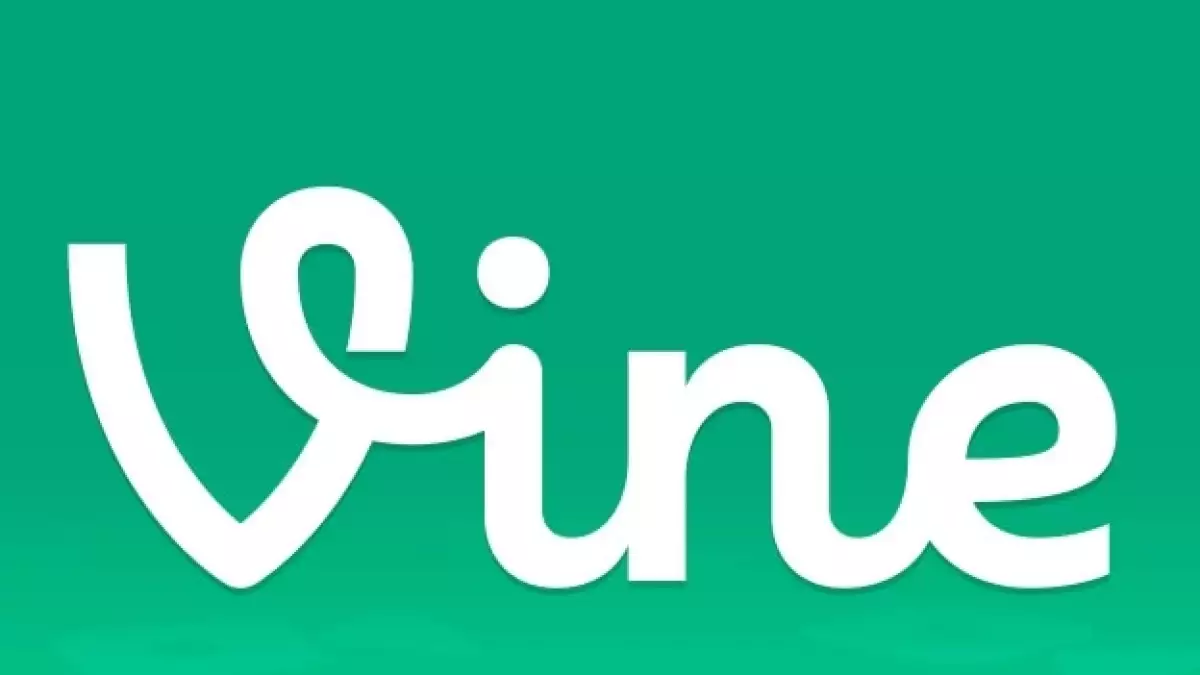 vine aplicacion