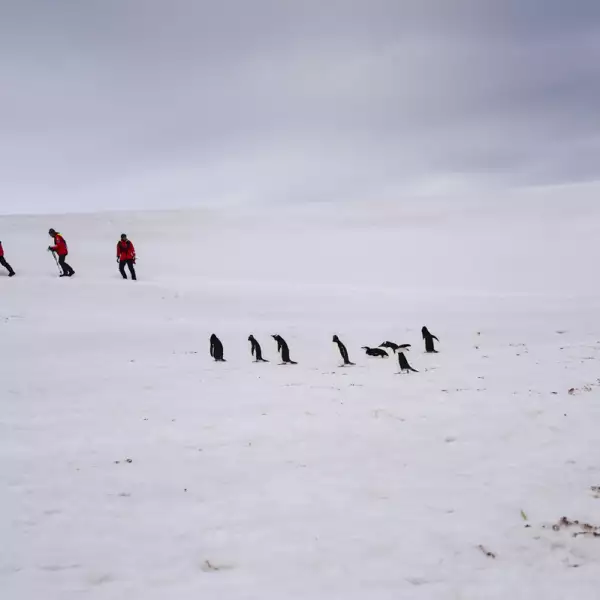 UN-CLIMATE-TOURISM-TRANSPORT-SEA-ANTARCTICA