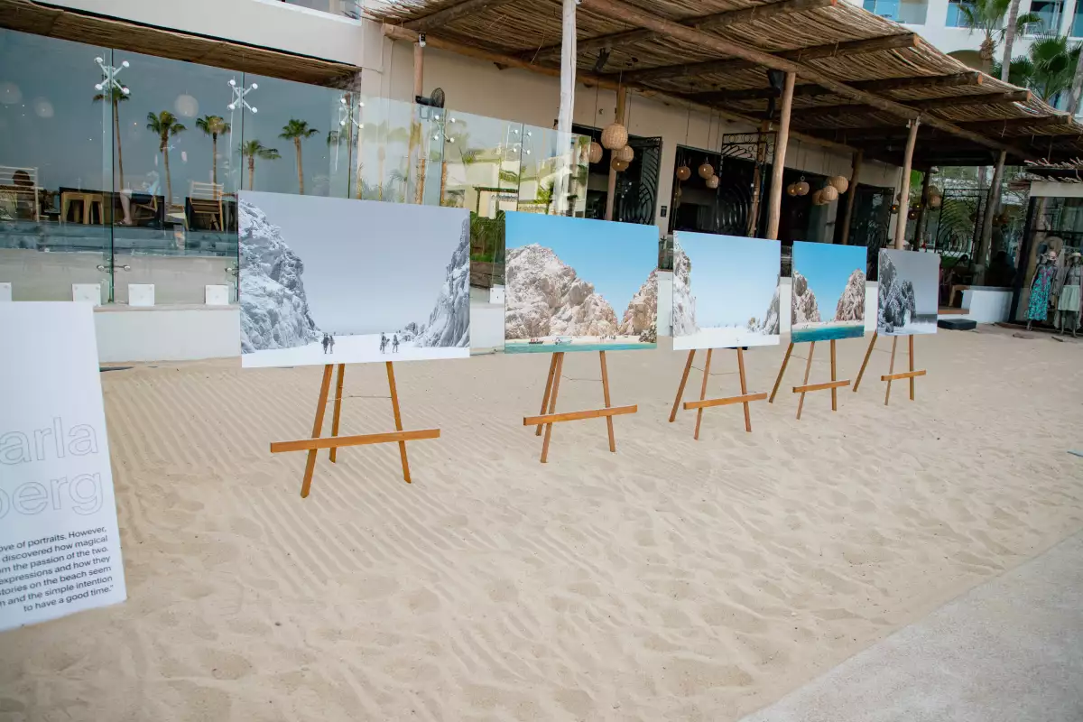 Carla Weinberg exposición 