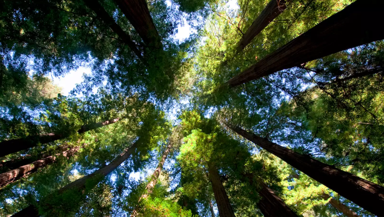 lugares-iconicos-star-wars