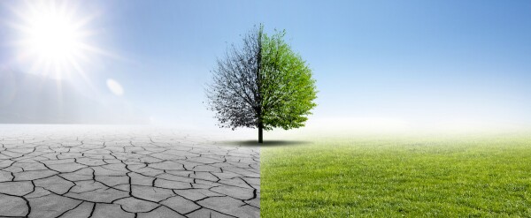 Natur Changing