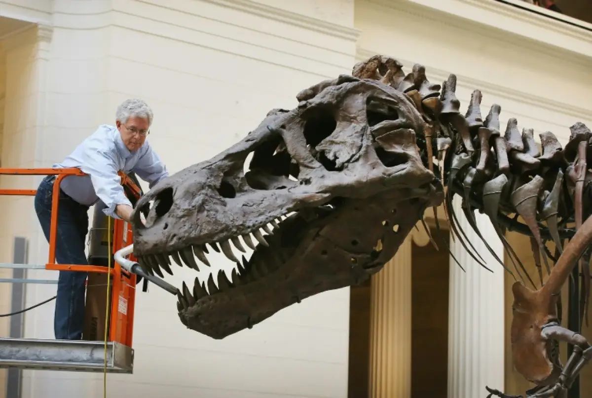 tiranosaurio-rex-suiza