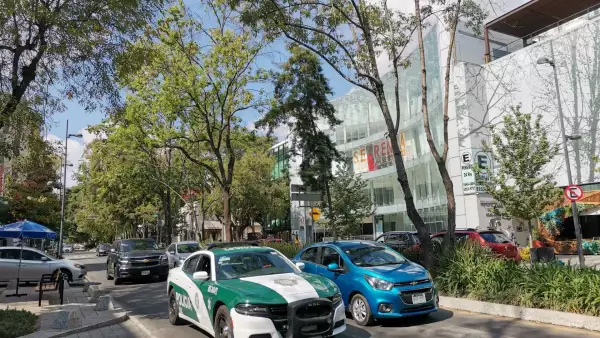 Renta de locales Masaryk