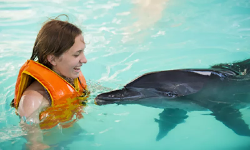 Estudios sugieren que los animales de compañía pueden ser tan terapeuticos para los seres humanos como supuestamente lo son los delfines. (Foto: Getty Images)