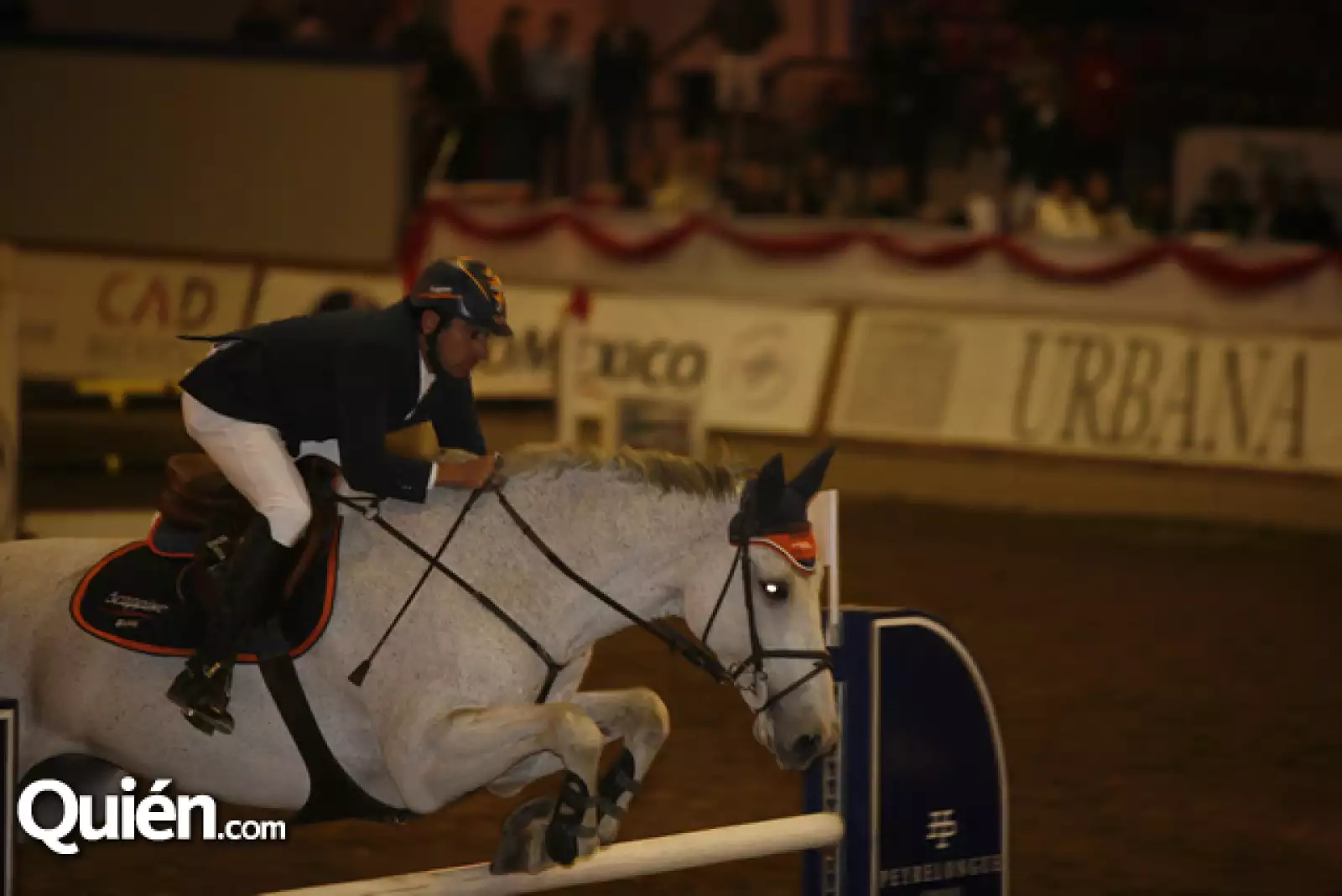 Luis Martín del Campo