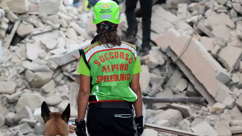 Perros rescatistas