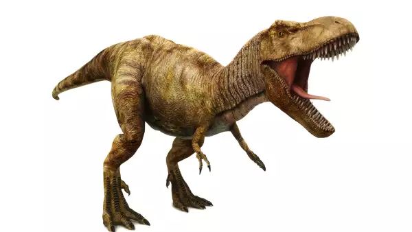 dinosaurio 3d google (tiranosaurio rex)