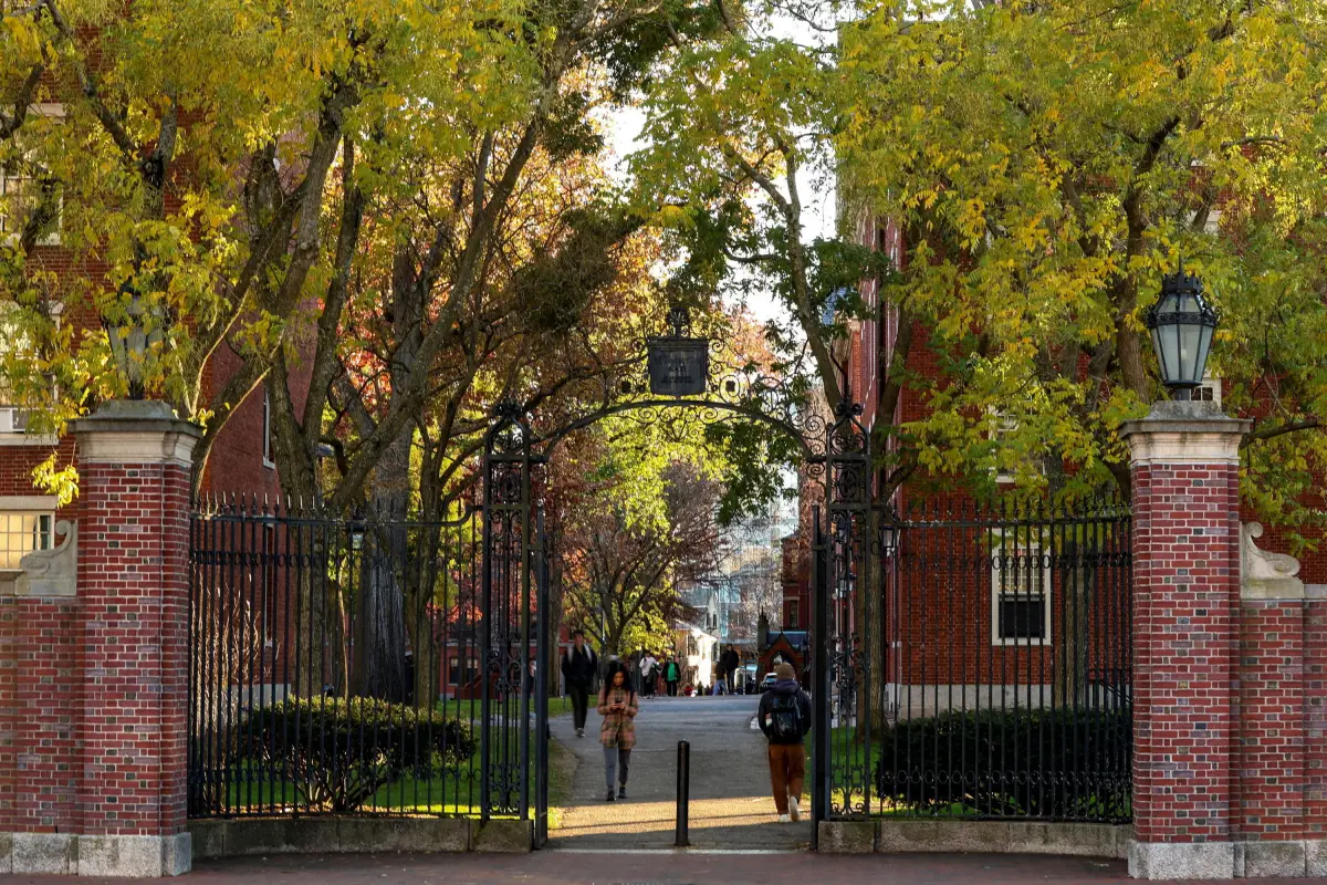 Escándalo en Harvard Medical School: exgerente de la morgue convirtió cuerpos donados en negocio ilegal
