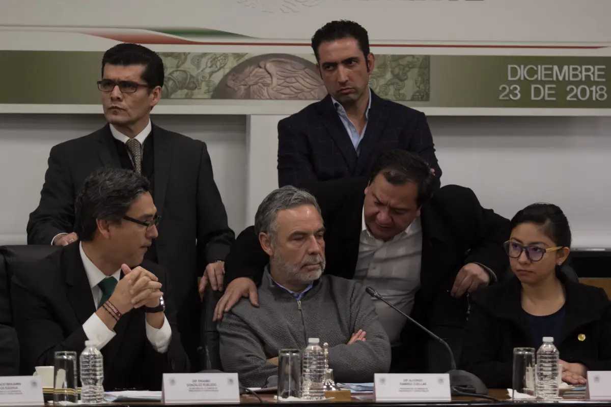 Diputados en domingo