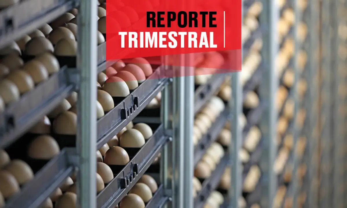 Reporte financiero Bachoco