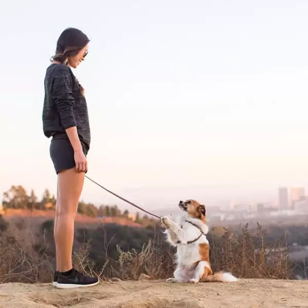 Aimee Song de Song of Style con Charcoal dando un paseo.