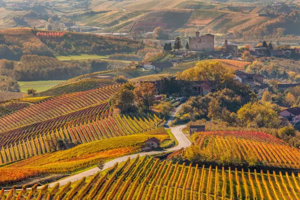Ésta es una zona de viñedos, por lo que se realizan catas de vinos, que puedes combinar con las visitas espectaculares de la región