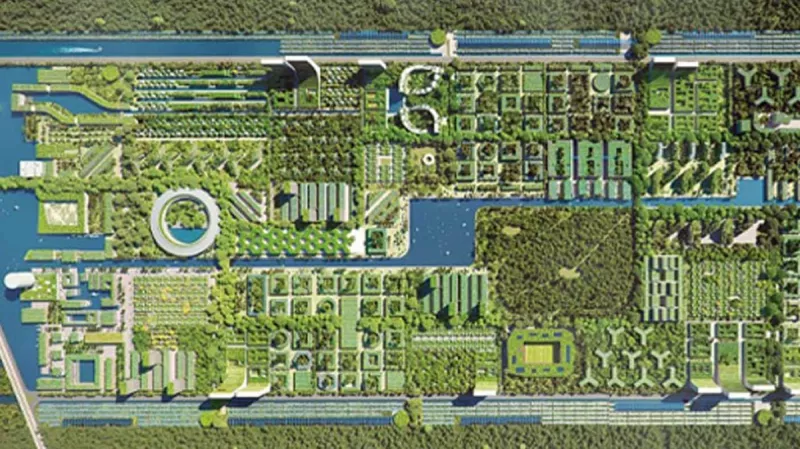 Smart Forest Cancún