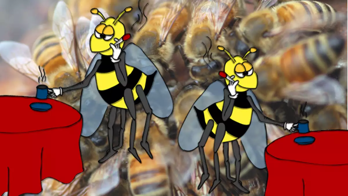 ilustración de la abeja de María