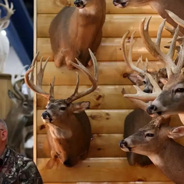 Houston armas expo feria 5