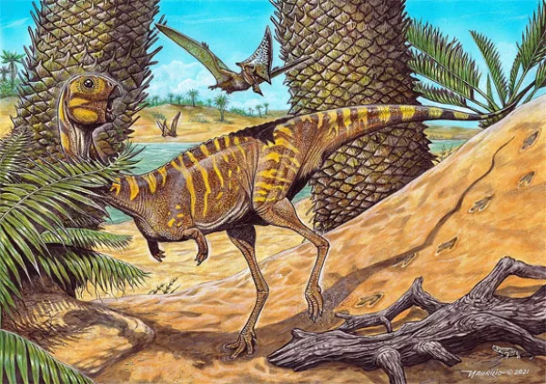 "Berthasaura", the new dinosaur discovered in Brazil