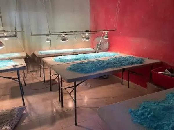 Aseguramiento Laboratorio Metanfetamina