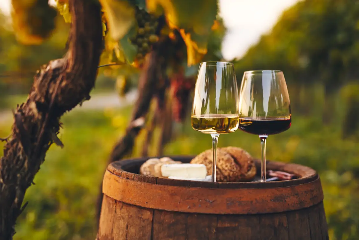 Te decimos el maridaje perfecto para estos vinos refrescantes 
