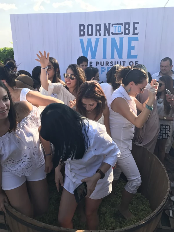 "Born to be Wine" una experiencia para los sentidos