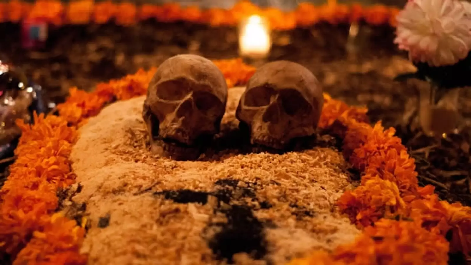 La UNAM recibe las ofrendas de muertos