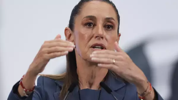 sheinbaum-diputada