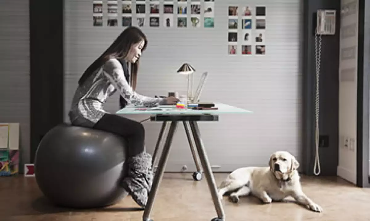 Investigadores han encontrado que los perros pueden incentivar el trabajo en equipo. (Foto: Getty Images)
