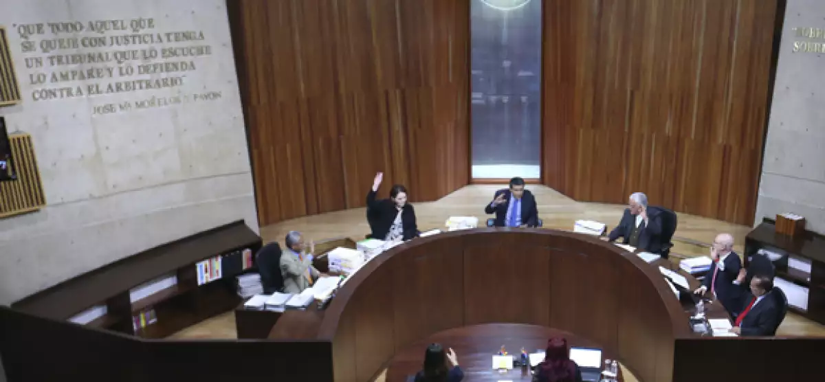 Los magistrados de la Sala Superior revocaron la decisión de la Sala Regional Especializada que exoneraba al partido. 