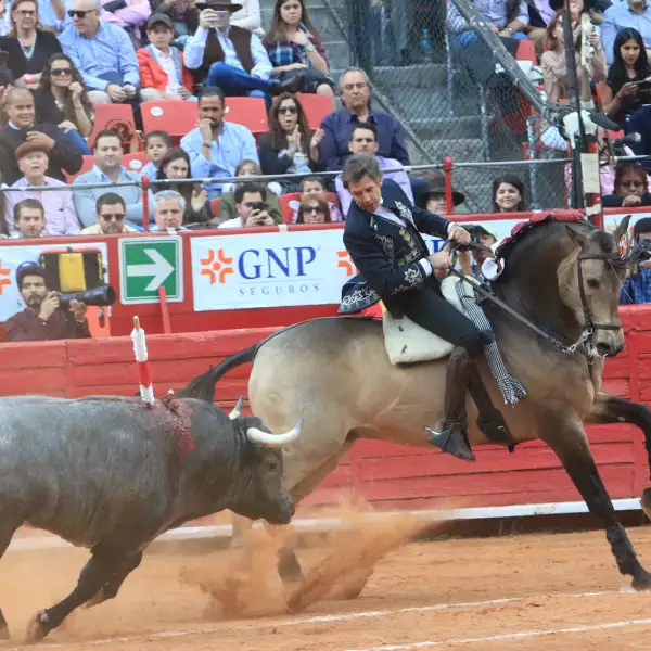 Corrida 16 Temporada Grande 