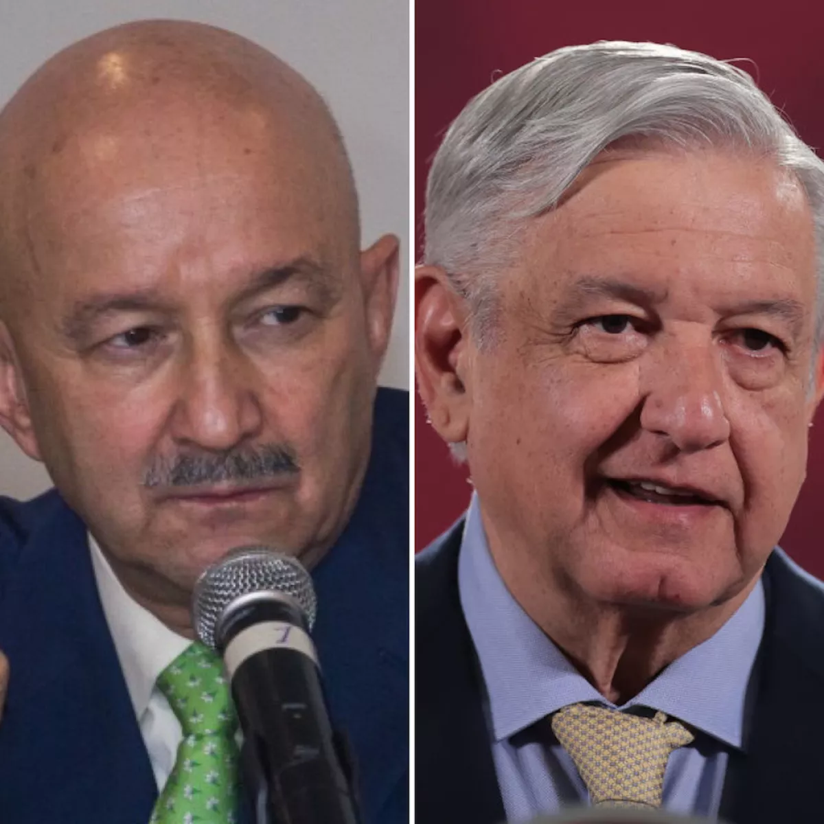 salinas-amlo.jpg