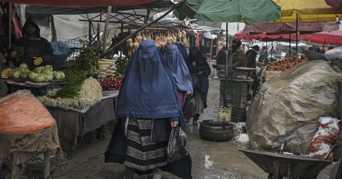 Afghan Feminists Denounce Increasing Taliban Repression