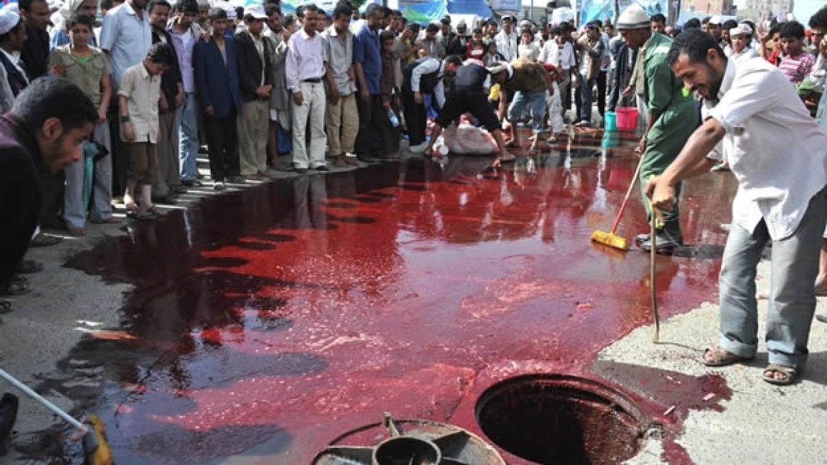 yemenies limpian sangre de toro