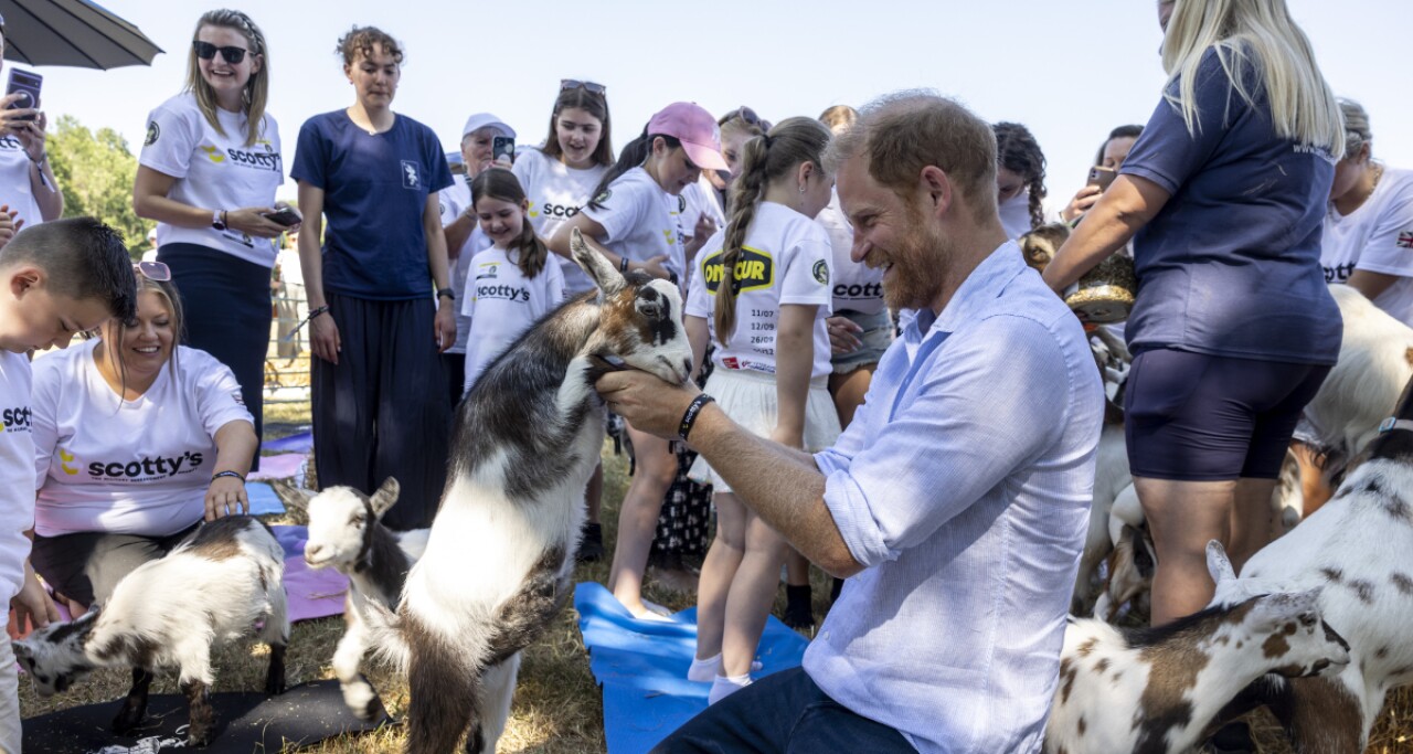 El príncipe Harry sorprende al realizar una sesión de yoga con cabras durante su visita a Reino Unido