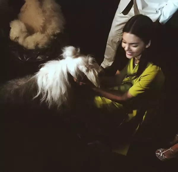 Kendall compartió en Instagram una foto con los perritos que eran parte del show.