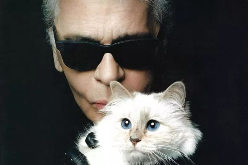 karl-lagerfeld-gata.jpg